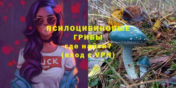 mdpv Новозыбков