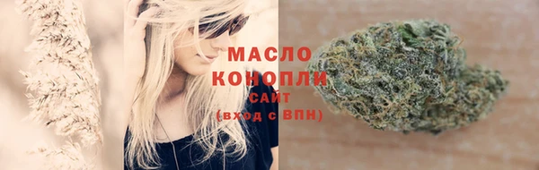 мдпв Няндома
