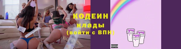 мдпв Няндома