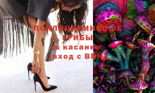 apvp Новодвинск