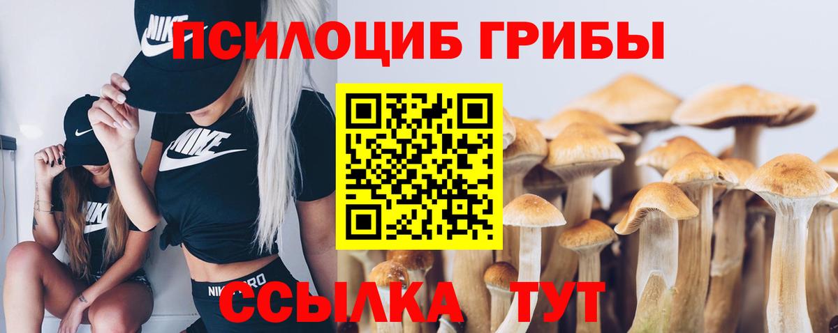 Псилоцибиновые грибы прущие грибы Ишимбай